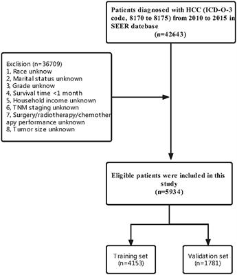 Development and validation of a diagnostic and prognostic model for lung metastasis of hepatocellular carcinoma: a study based on the SEER database
